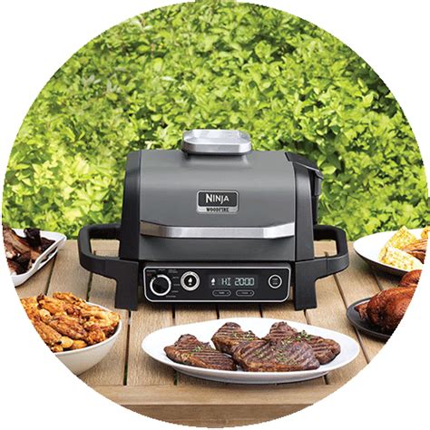 Ninja Woodfire Elektrischer Grill Smoker Kaufen Ofen De