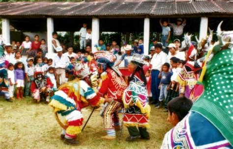 Poqomam Historia Significado Lengua Y Mucho Mas