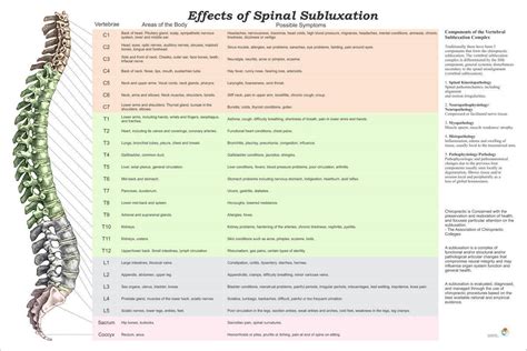 Vertebral Spinal Subluxation Symptoms Poster 24" X 36" Chiropractic Chart