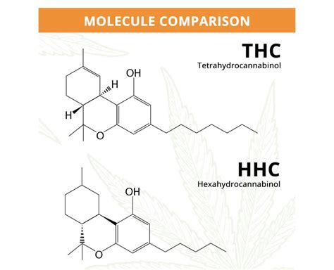 Molecule Comparison Between Thc And Hhc Rhhccannabinoid