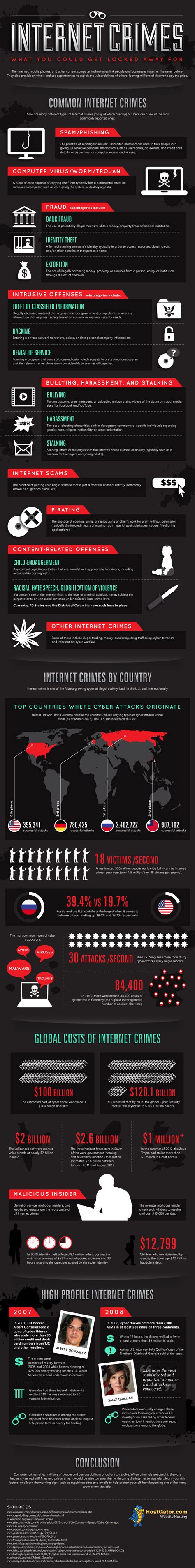 Internet Crimes [infographic]