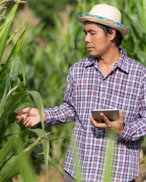 Curso De Pr Cticas Y Aplicaciones De Agricultura Ecol Gica Sena