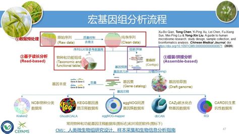 75分钟入门微生物组数据分析和结果解读—刘永鑫 合肥，2021年6月23日 刘永鑫ppt Csdn博客