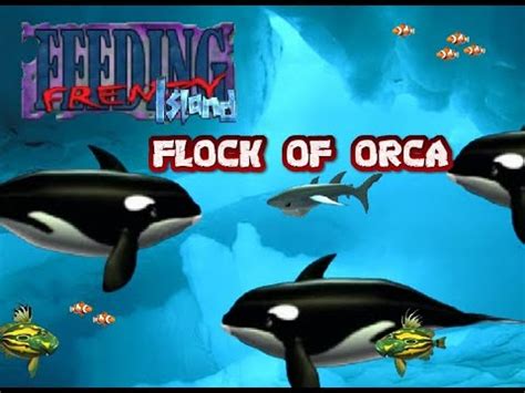 Feeding Frenzy Mod Flock Of Orca Youtube