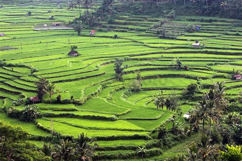 Ini 17 Warisan Budaya Indonesia Yang Diakui UNESCO Blog