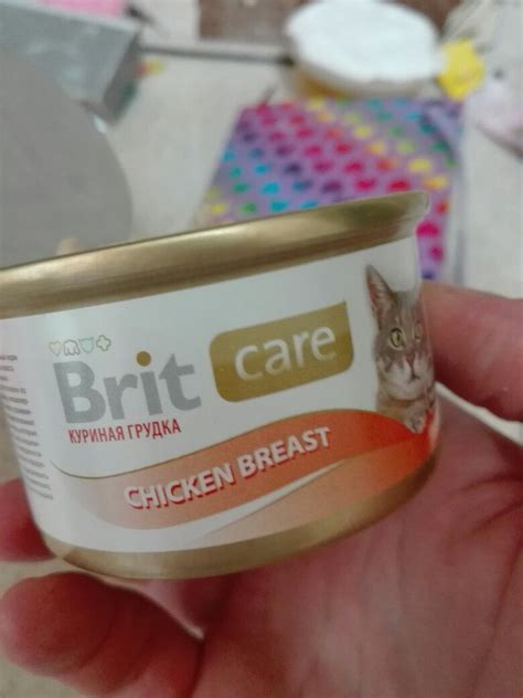 Корм Brit Care для кошек: отзывы, разбор состава, цена - ПетОбзор