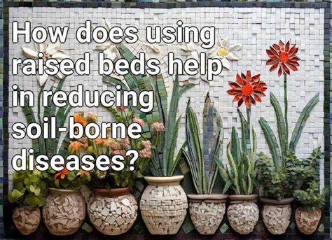 How Does Using Raised Beds Help In Reducing Soil Borne Diseases