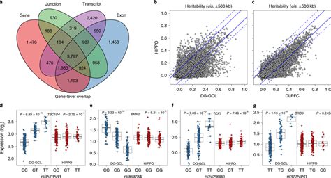 Extensive Dg Gcl Enriched Eqtls A Venn Diagram Showing Cis Eqtl Download Scientific Diagram