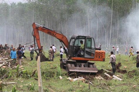 PTPN X Optimalkan Kembali Lahan Di Jember Seluas 4 4 Ha