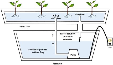 Vertical Farming is the future - SenzAgro