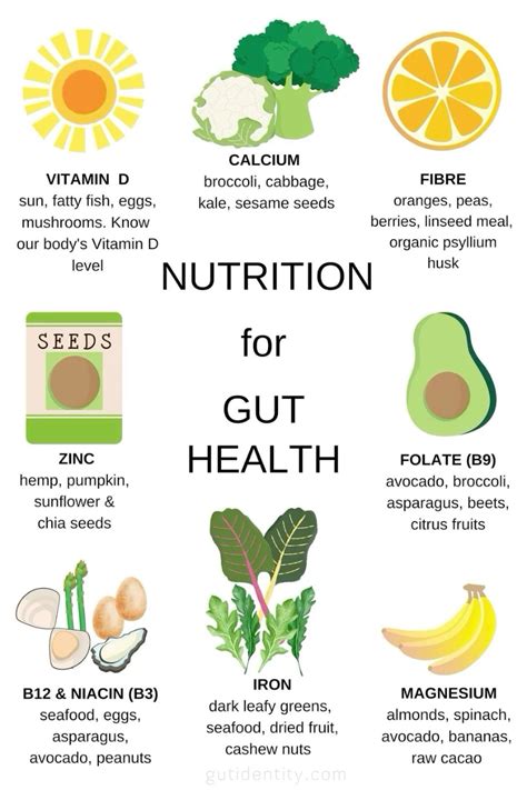 How To Improve And Reset Gut Health Artofit