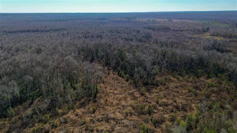 Twiggs County Ga 255 Acres Green Hill Land And Forestry