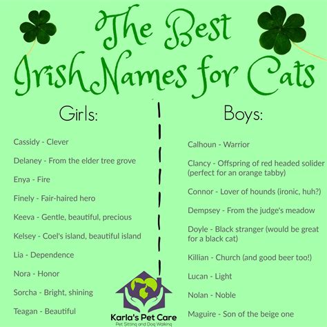 Top 10 Irish Cat Names | Karla's Pet Care in Elk Grove, CA