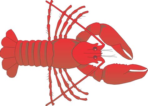 Lobster outline clipart 4 - WikiClipArt