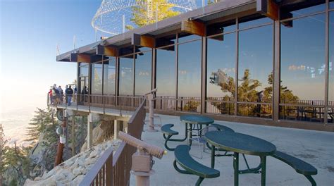 Palm Springs Aerial Tramway Tours - Book Now | Expedia