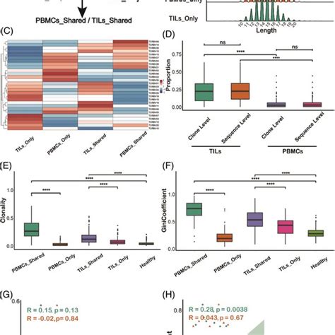 T Cell Receptor Repertoire Tcr Sharing Relationship Between The Download Scientific Diagram