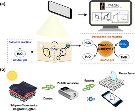 A Schematic Diagram Of The Foldable Paper Microfluidic Device For