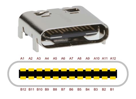 Usb Type C Connector Pinout Features And Datasheet