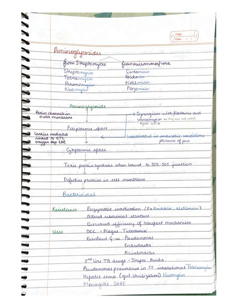 SOLUTION Antibacterial And Antifungal Drugs Pharmacology Mnemonics