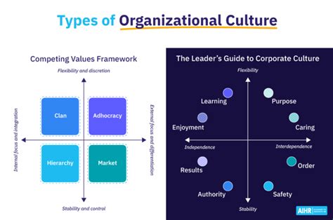 12 Types of Organizational Culture You Should Know - AIHR