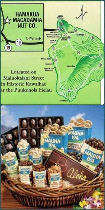 Hamukua Macadamia Nut Factory Free Tours Mauna Loa Macadamia