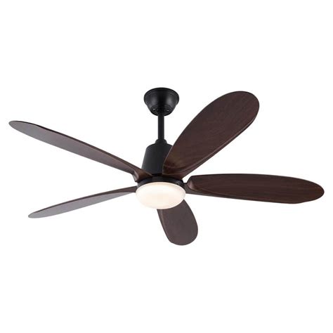 Oukaning In Indoor Black Modern Ceiling Fan With Color Integrated