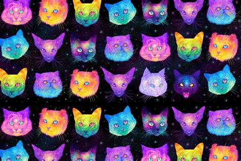 Psychedelic Cats By Jen Bartel Radorableart