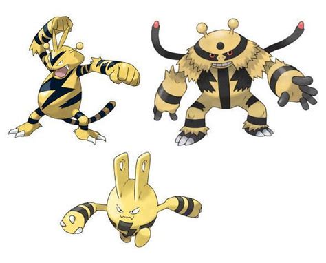 Electivire Evolution