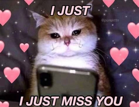 Cute I Miss You Meme