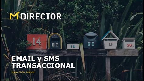 Mdirector Email Y Sms Transaccional Youtube