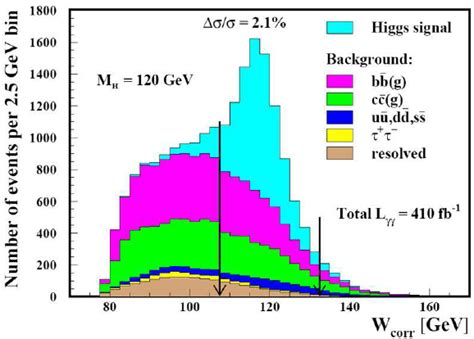 The Reconstructed Invariant Mass Distribution Of The H B B