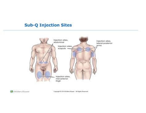 Pharmacology Med Admin Immunization Otc Drugs10 Flashcards Quizlet