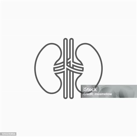 신장 아이콘 신장 벡터 건강관리와 의술에 대한 스톡 벡터 아트 및 기타 이미지 건강관리와 의술 건강한 생활방식 고삐