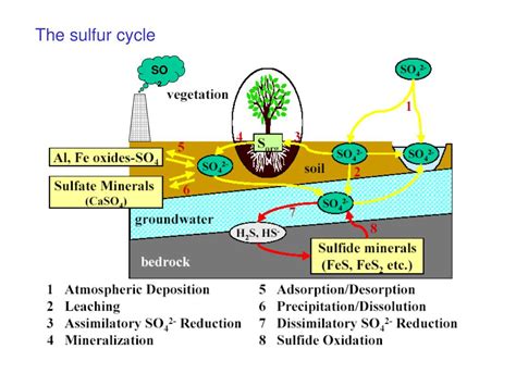 PPT - Sulfur isotopes 11/14/12 PowerPoint Presentation, free download - ID:4277125