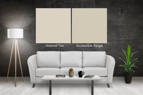 Natural Tan vs Accessible Beige: Color Comparison Guide ...