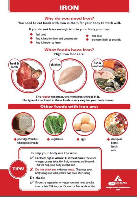 Iron Deficiency Anemia Poor Diet And Anemia - churchinter