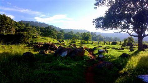 10 Best Resorts In Yelagiri For A Refreshing Staycation