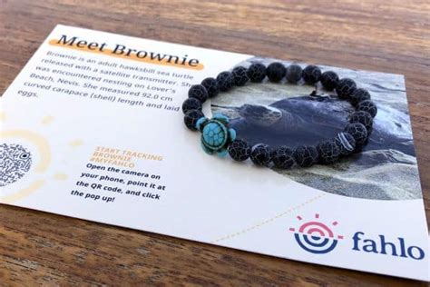 Best Sea Turtle Tracking Bracelet Fahlo Review