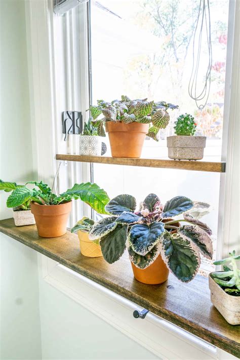 DIY Window Plant Shelf