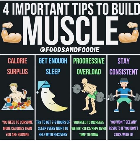 4 IMPORTANT TIPS TO BUILD MUSCLE | Build muscle, Muscle building tips ...