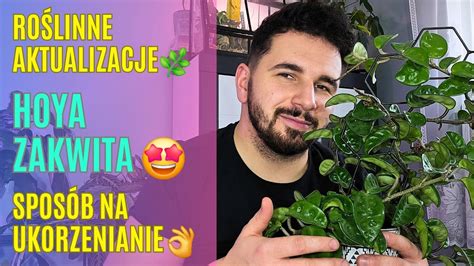 Ro Linny Vlog Hoya Zakwita Aktualizacje Syngonium Patent Na