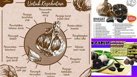 Temukan Manfaat Bawang Hitam Yang Luar Biasa Rahasia Kesehatan Yang