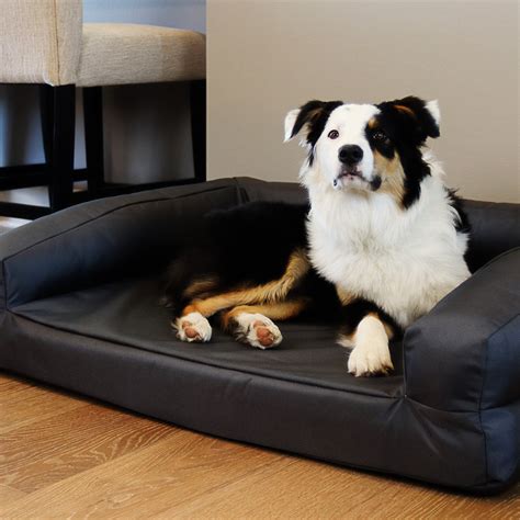 Orthopedic Dog Beds: BuddyRest World Class Dog Beds