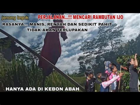 Perjalanan Mencari Rambutan Ijo Butuh Perjuangan Rasa Nya Terlalu