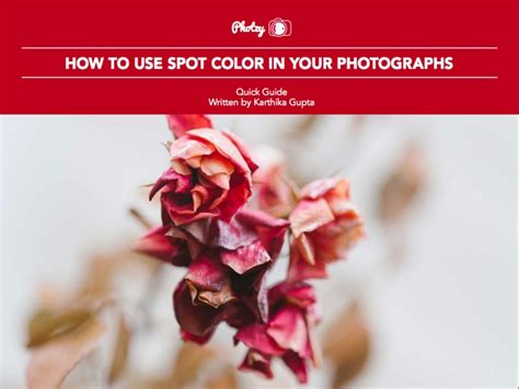 How to Use Spot Color in Your Photographs