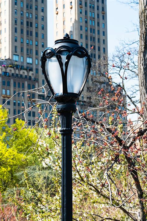 Street Lamp New York City Central Park Lamp City Lantern Urban