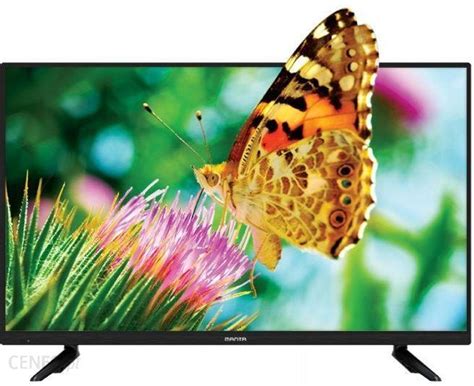 Telewizor Led Manta Led Cale Cale Hd Ready Cale Opinie I