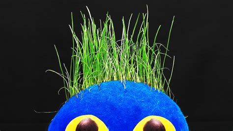 How To Make A Grass Head Diy Youtube