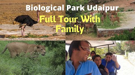 Sajjangarh Biological Park Udaipur Entry Tickets Timings Full Tour