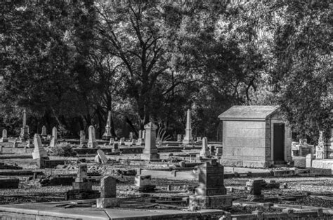 Historical Cemetery Free Stock Photo Public Domain Pictures